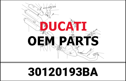 DUCATI純正 HORIZONTAL CYLINDER HEAD | 30120193BA