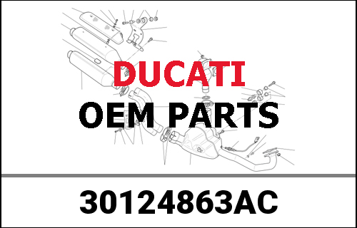 DUCATI純正 COMPLETE VERTICAL HEAD | 30124863AC