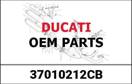 DUCATI純正 SWING ARM | 37010212CB