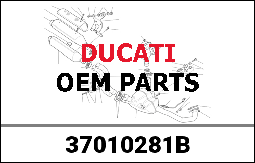 DUCATI純正 SWING ARM | 37010281B