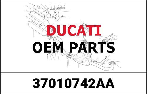 DUCATI純正 SWING ARM | 37010742AA