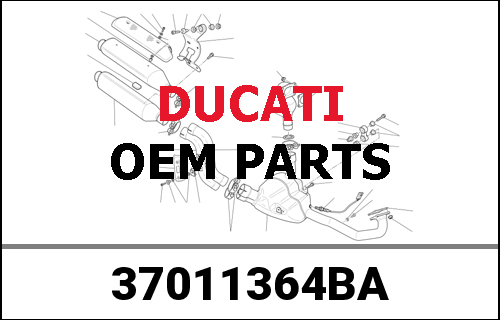 DUCATI純正 REAR SWINGING ARM | 37011364BA
