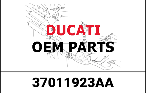 DUCATI純正 REAR SWINGING ARM | 37011923AA