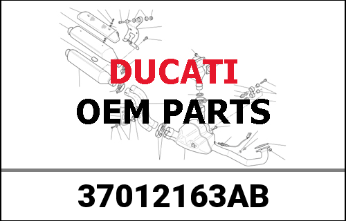 DUCATI純正 REAR SWINGING ARM | 37012163AB