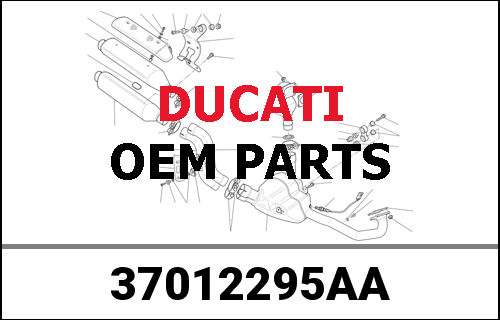 DUCATI純正 REAR SWINGING ARM | 37012295AA