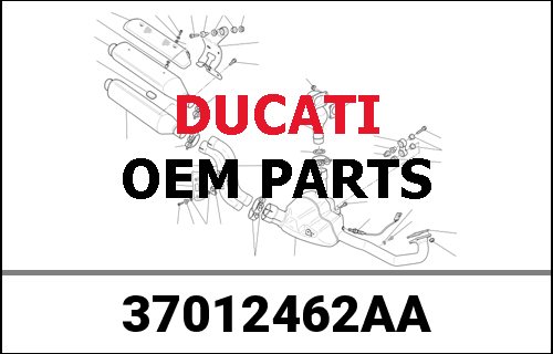 DUCATI純正 HINTERRADSCHWINGE | 37012462AA