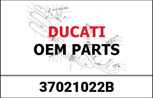 DUCATI純正 ASSIEME FORCELLONE COMPLETO 0803 | 37021022B