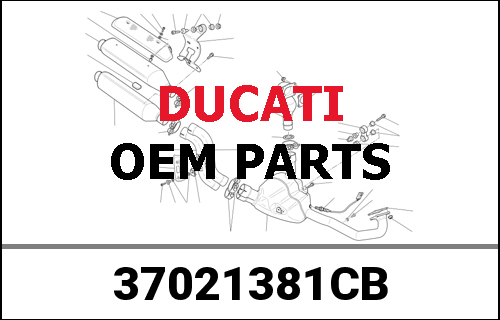 DUCATI純正 COMPLETE SWINGARM | 37021381CB