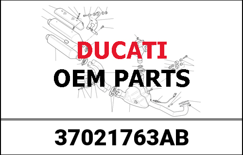 DUCATI純正 COMPLETE SWINGARM | 37021763AB