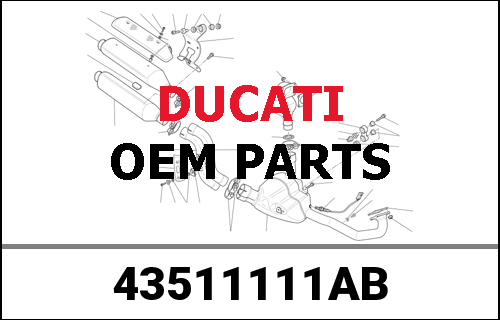 DUCATI純正 GRAPHIC ALLORO DUCATI | 43511111AB