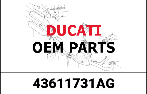DUCATI純正 GREY STRIP | 43611731AG