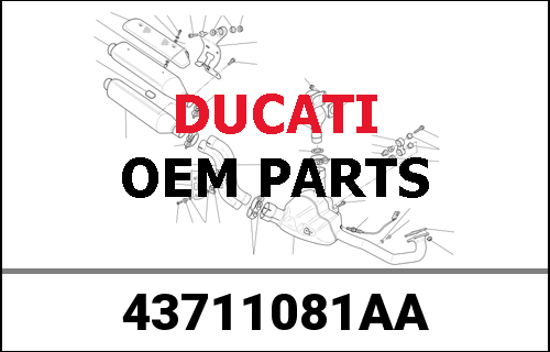 DUCATI純正 GRAPHIC DESMODUE SILVER | 43711081AA