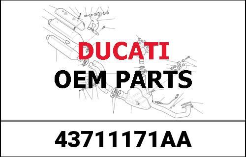 DUCATI純正 GRAPHIC TESTASTRETTA | 43711171AA
