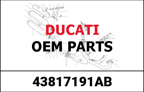 DUCATI純正 TRANSFER | 43817191AB