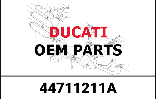 DUCATI純正 LOWER CHAIN SLIDING SHOE | 44711211A