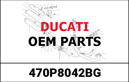 DUCATI純正 ASSY STEEL FRAME 1504 MINERAL GREY | 470P8042BG