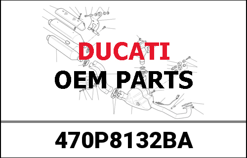DUCATI純正 ASSY STEEL FRAME 1504 CHINA PAINTED RED | 470P8132BA