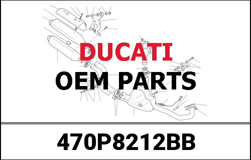 DUCATI純正 STEEL FRAME 1602 CARBON BLACK CHN | 470P8212BB