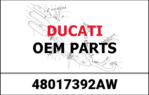 DUCATI純正 AWS FRONT FAIRING | 48017392AW