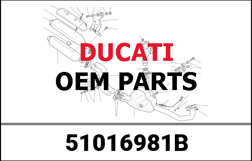 DUCATI純正 WIRING HARNESS | 51016981B