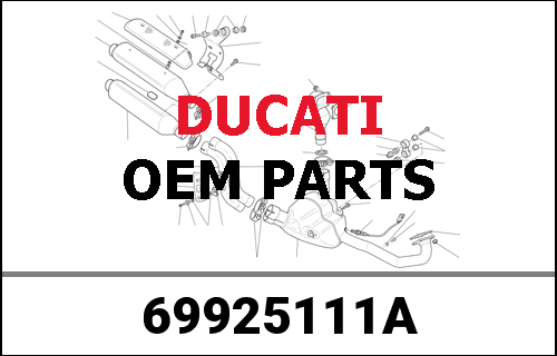 DUCATI純正 cylinder clutch | 69925111A