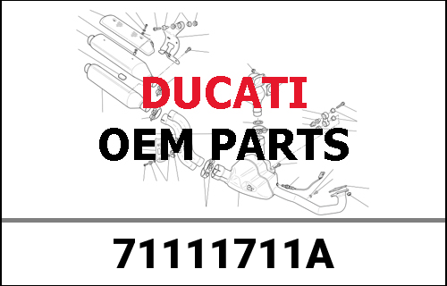 DUCATI純正 BOCCOLA PROT.FISS.ANT.PARAGAMBE MTS PO | 71111711A