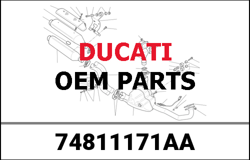 DUCATI純正 DADO FL.M16X1,5 CH 22 STSTR008 DAL PIENO | 74811171AA