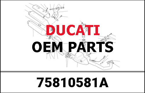 DUCATI純正 PROTECTION WIRING | 75810581A