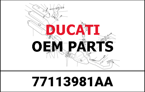 DUCATI純正 SCREW L.H. | 77113981AA