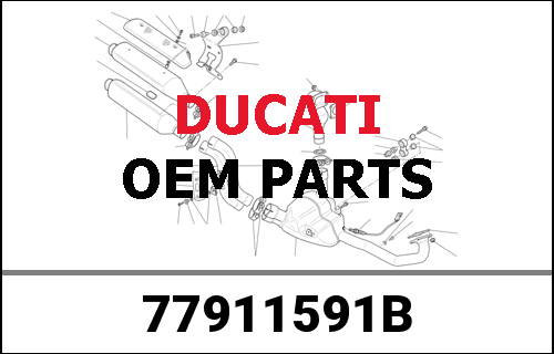 DUCATI純正 SCREW | 77911591B