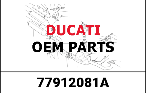 DUCATI純正 FOOTREST PIN | 77912081A