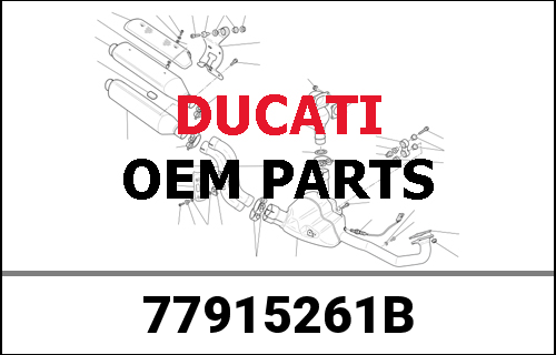 DUCATI純正 VITE SPECIALE M5 CON RIC.DZUS1098SSTK TI | 77915261B
