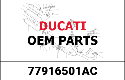 DUCATI純正 SCREW, SPECIAL | 77916501AC