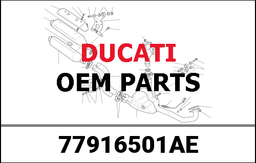 DUCATI純正 SCREW, SPECIAL | 77916501AE