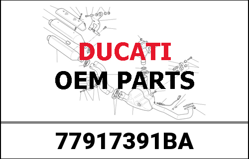 DUCATI純正 SCREW, SPECIAL | 77917391BA