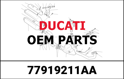 DUCATI純正 SPECIAL SCREW | 77919211AA