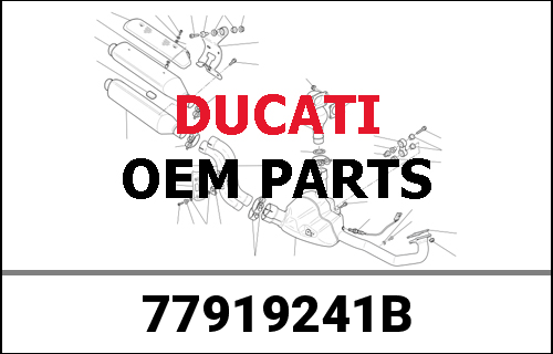 DUCATI純正 NUT, SPECIAL | 77919241B