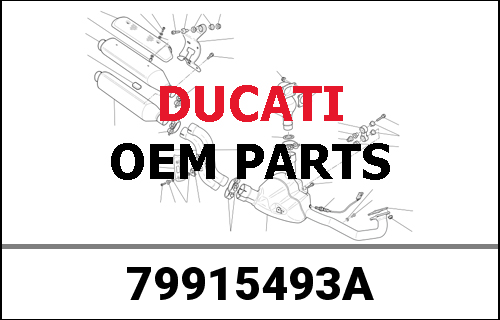DUCATI純正 SPRING | 79915493A