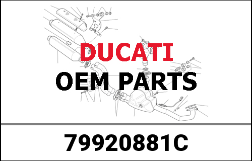 DUCATI純正 COMPLETE SPRING | 79920881C