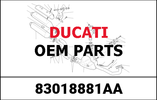 DUCATI純正 PLEXI HOLDER 1203 STRDA (FINISHED) | 83018881AA