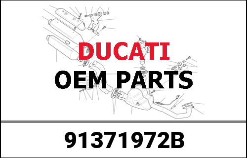 DUCATI純正 OWNERS MANUAL DVL/CARBON ENG/E/F/J MY13 | 91371972B