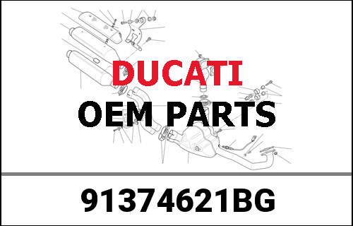 DUCATI純正 OM.HYM950 SP BULGARIAN MY20 | 91374621BG