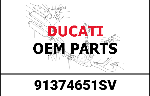 DUCATI純正 OM.SCR DESERT SLED SWEDISH MY20 | 91374651SV