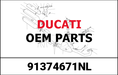 DUCATI純正 OM.V4 HOLLAND MY20 | 91374671NL