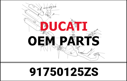 DUCATI純正 MY19959 Panigale US version Brochure Spa | 91750125ZS