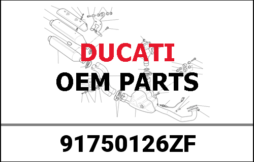 DUCATI純正 MY19 1509 Launch Brochure Fre | 91750126ZF