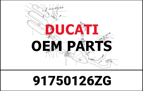 DUCATI純正 MY19 1509 Launch Brochure Ger | 91750126ZG