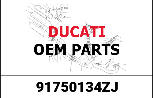 DUCATI純正 Ducati Redline Magazine 1/2019 Jap | 91750134ZJ