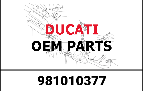 DUCATI純正 LEATHER D-AIR MR AFERNANDES | 981010377