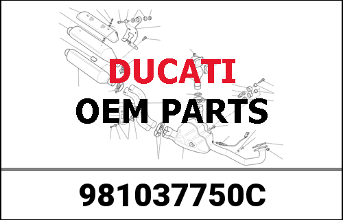 DUCATI純正 FABRIC JACKET CORSE TEX C3 MENS 50 | 981037750C